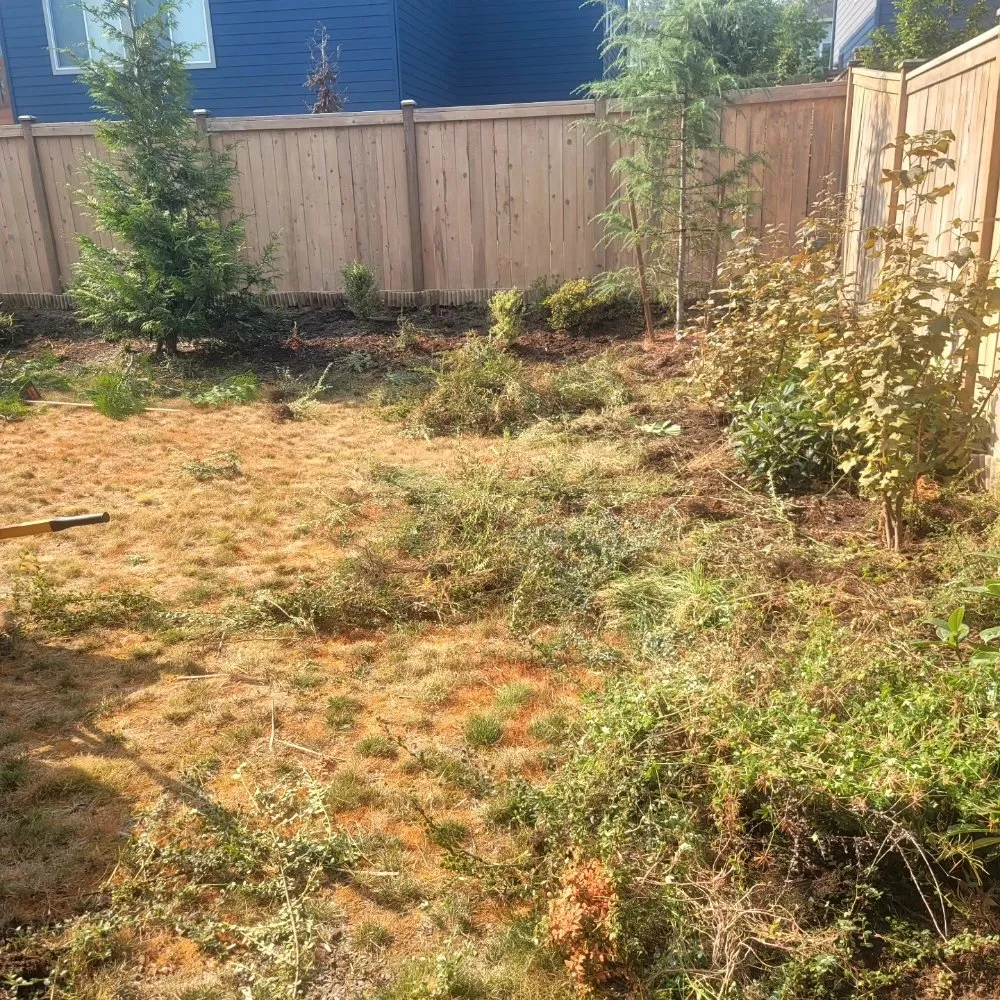 Local residential landscaping in Lakewood, WA by Ayala Landscapes Construction