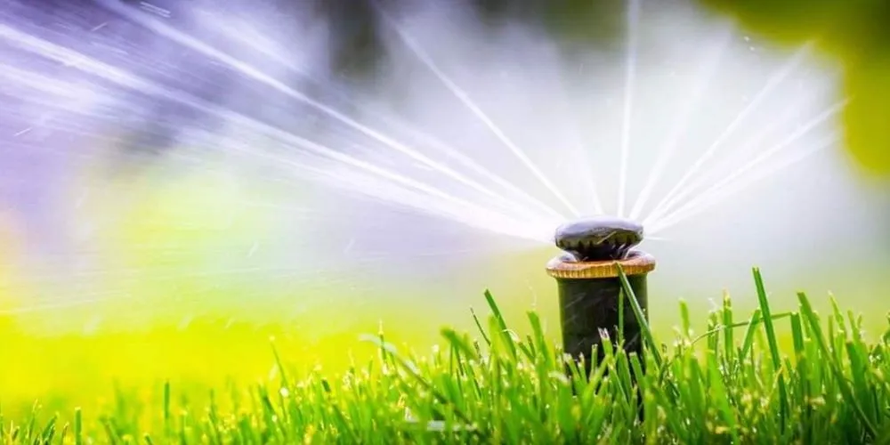 Professional landscaping services in Lakewood, WA - Ayala Landscapes Construction