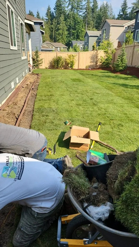 Trusted yard cleanup service with custom design across Lakewood, WA - Ayala Landscapes Construction