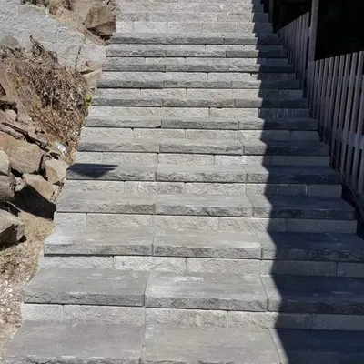 Ayala Landscapes Construction Logo