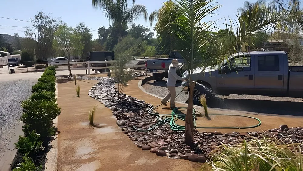 Professional residential landscaping in Menifee, CA by Ayala Landscaping