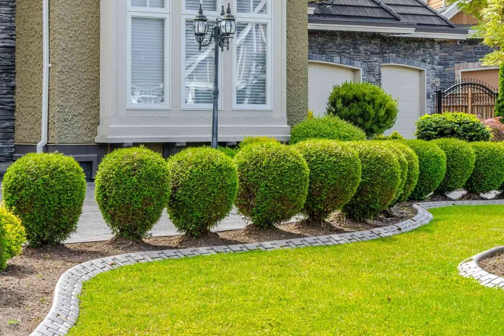 Affordable yard cleanup service in Menifee, CA - Ayala Landscaping