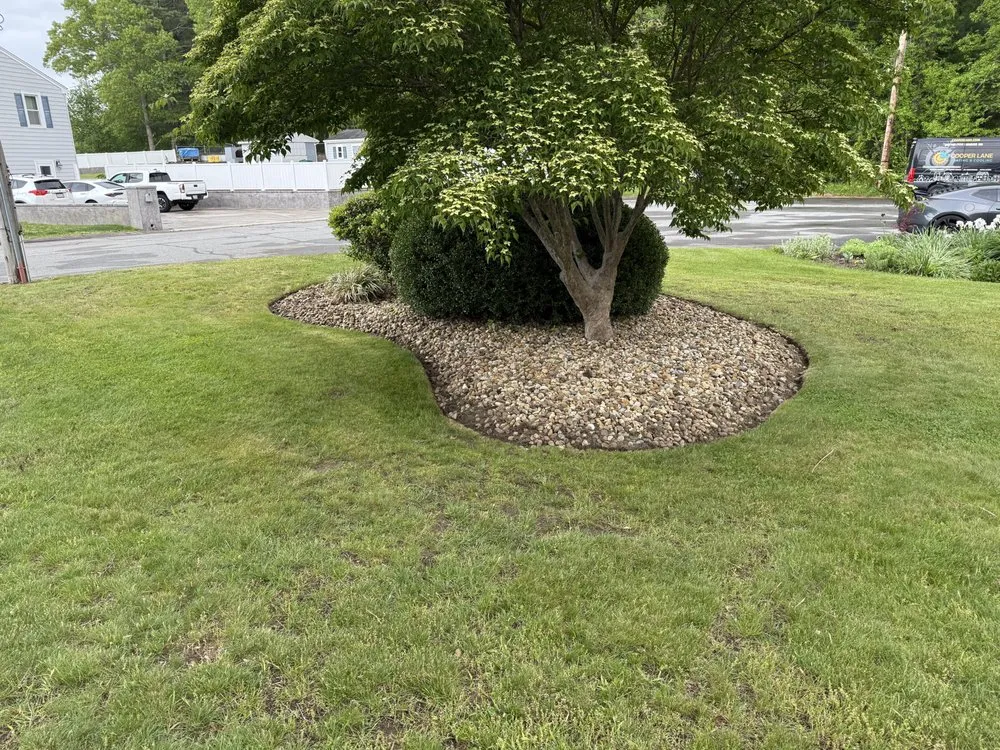 Expert lawn mowing service in New Bedford, MA - Ayala Landscaping