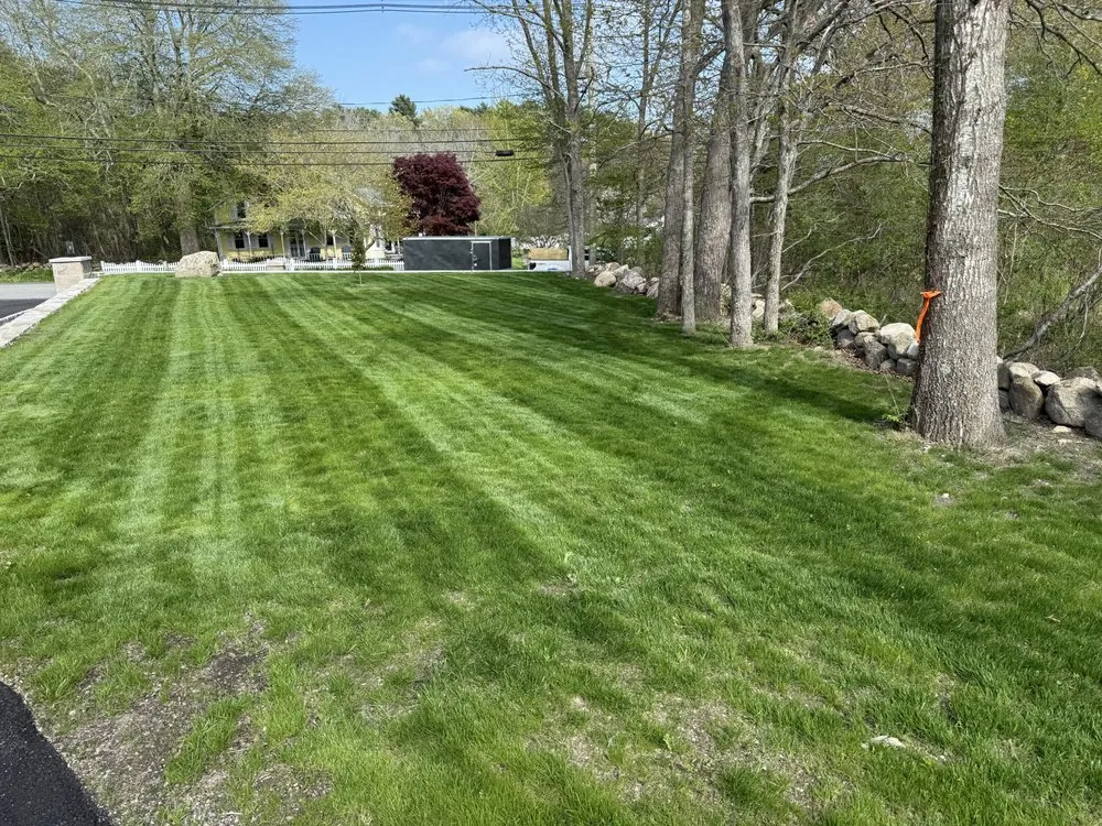 Reliable lawn care service in New Bedford, MA - Ayala Landscaping