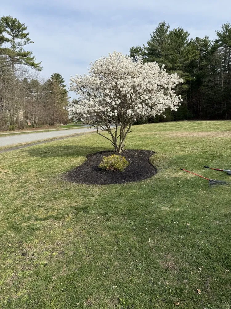 Affordable residential landscaping for residential properties in New Bedford, MA by Ayala Landscaping