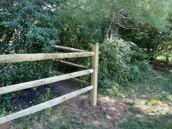 Expert yard cleanup service in New Castle, DE by Ayala Landscaping