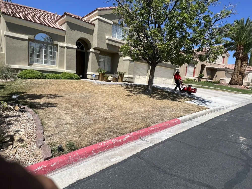 Trusted yard maintenance in North Las Vegas, NV - Ayala Landscaping