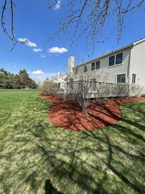 Reliable yard cleanup service near you across Waukegan, IL - Ayala Landscaping