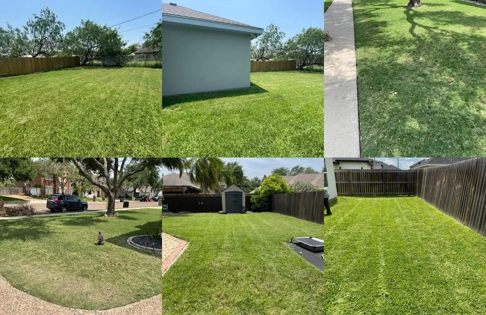 Expert landscape installation for residential properties across Mission, TX - Ayala Lawn & Home Services