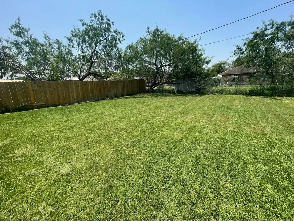 Custom yard maintenance in Mission, TX - Ayala Lawn & Home Services