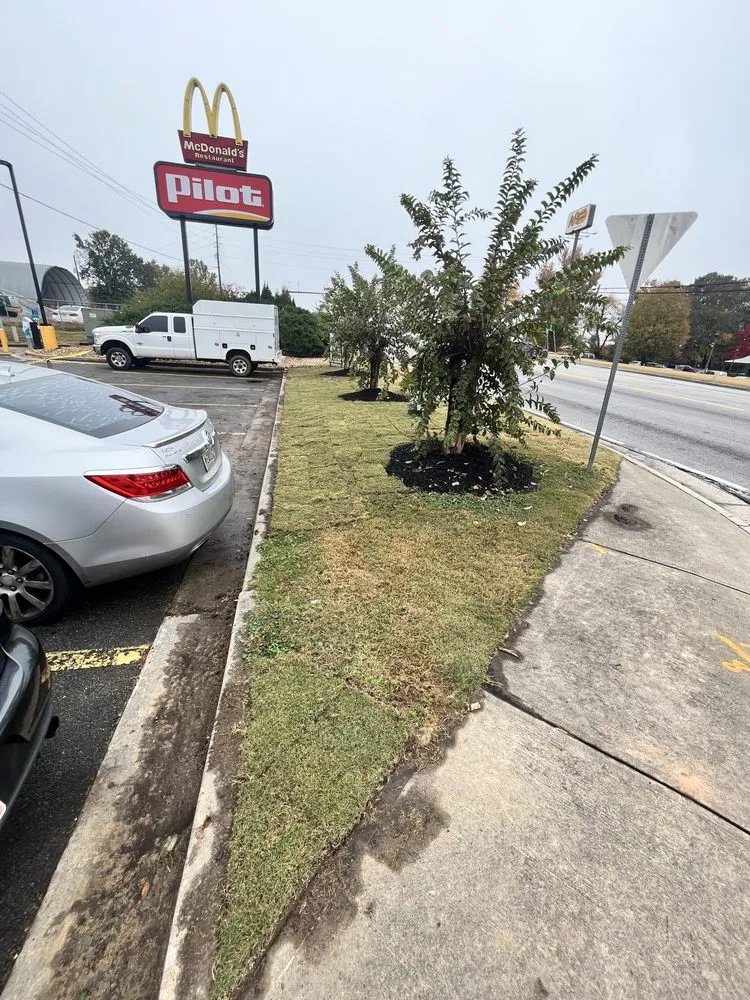 Top-rated garden landscaping for year-round maintenance across Gainesville, GA - Ayala Lawn Care