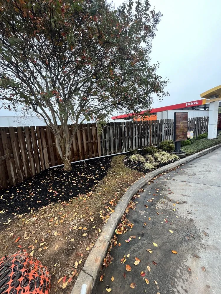 Professional yard cleanup service experts serving Gainesville, GA - Ayala Lawn Care