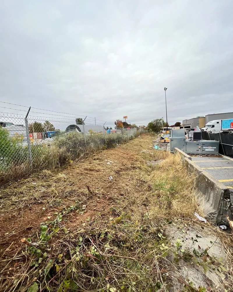 Local yard maintenance for year-round maintenance across Gainesville, GA - Ayala Lawn Care