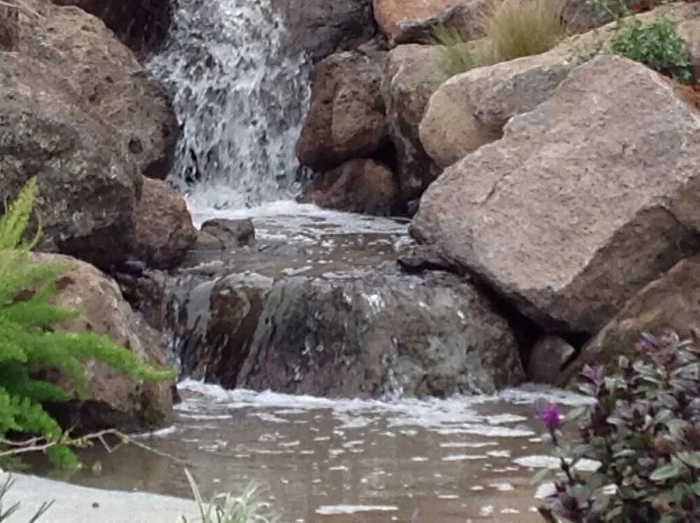 Local landscape design in Vacaville, CA - Ayala Western Panoramics