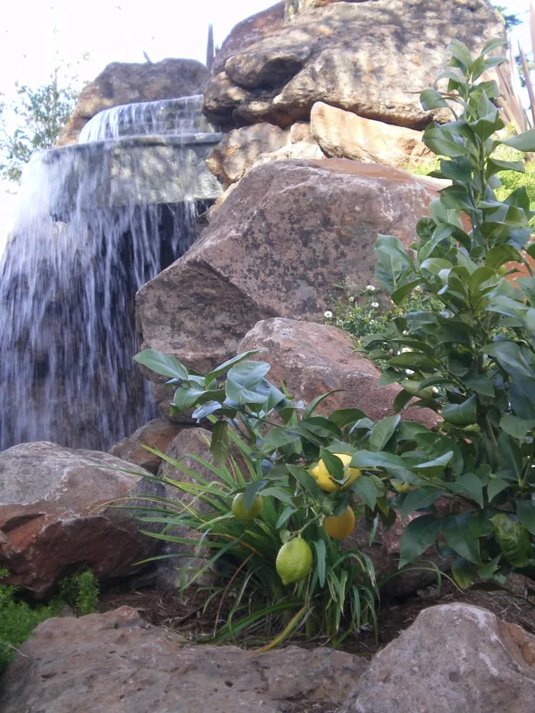 Affordable lawn mowing service in Vacaville, CA - Ayala Western Panoramics