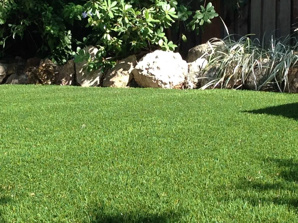 Reliable lawn care service in Vacaville, CA by Ayala Western Panoramics