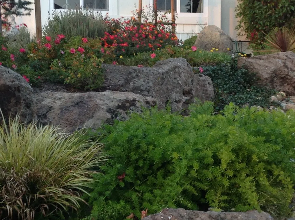 Local landscape installation for homes in Vacaville, CA by Ayala Western Panoramics