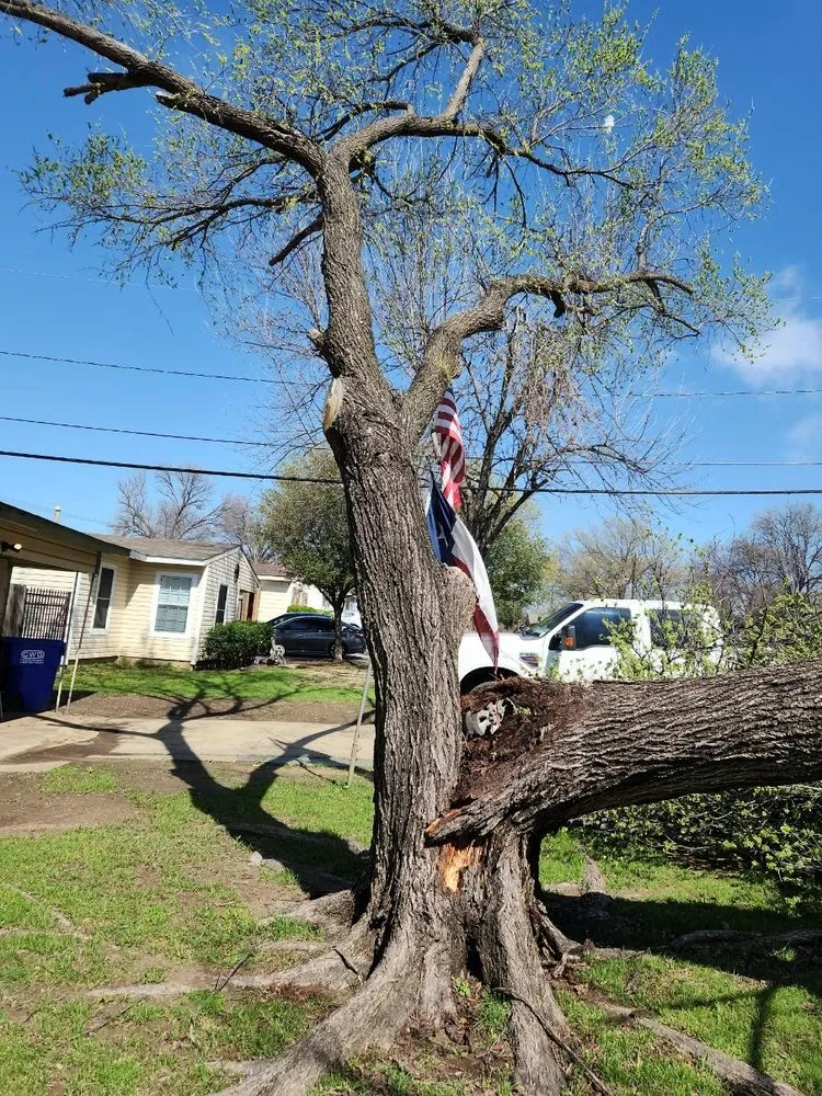 Reliable landscape installation for beautiful yards across Dallas, TX - Ayala's Landscaping & Tree Service