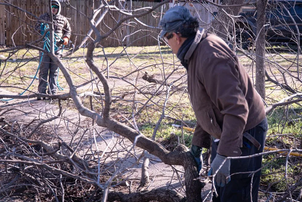 Affordable landscaping services for residential properties across Dallas, TX - Ayala's Landscaping & Tree Service