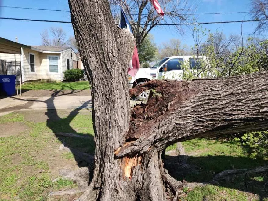 Trusted outdoor landscaping in Dallas, TX - Ayala's Landscaping & Tree Service