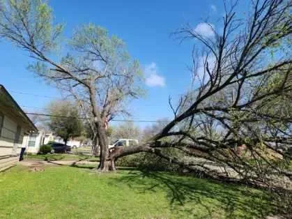 Affordable outdoor landscaping for year-round maintenance in Dallas, TX by Ayala's Landscaping & Tree Service