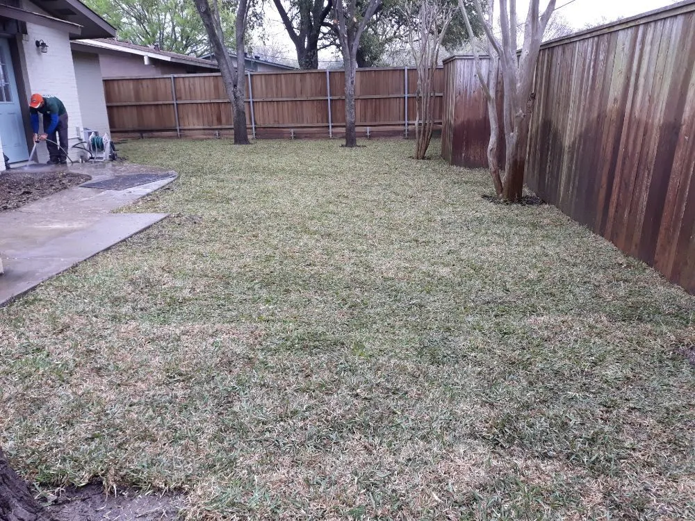 Local yard cleanup service with custom design across Dallas, TX - Ayala's Landscaping & Tree Service
