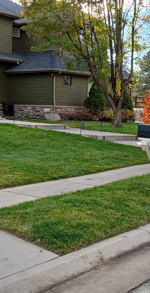 Affordable residential landscaping experts serving Westminster, CO - Ayala's Landscaping