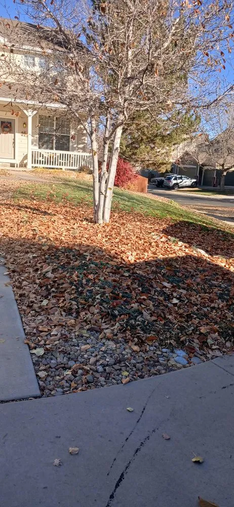 Reliable residential landscaping in Westminster, CO by Ayala's Landscaping