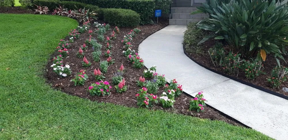 Local residential landscaping in Winter Haven, FL by Aycock Lawn Maintenance