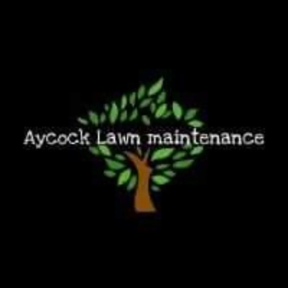 Custom landscape installation for outdoor upgrades in Winter Haven, FL by Aycock Lawn Maintenance