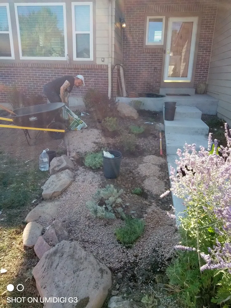 Affordable outdoor landscaping for residential properties across Denver, CO - Aycorn Designs