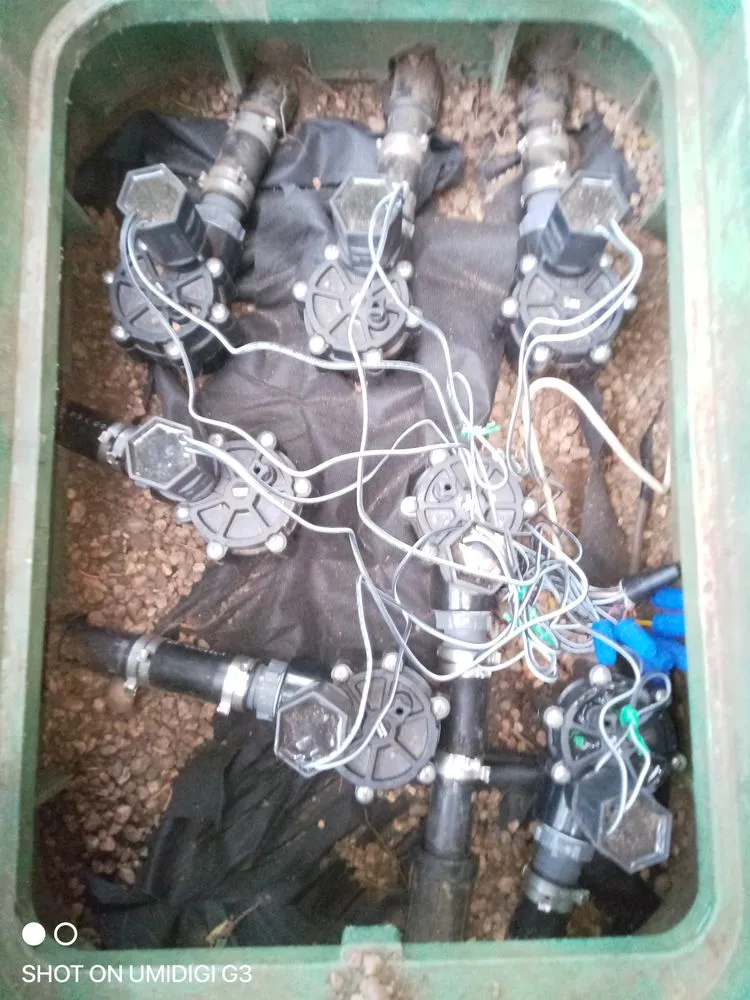 Top-rated yard maintenance in Denver, CO - Aycorn Designs