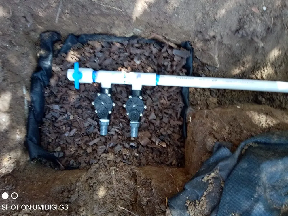 Affordable residential landscaping experts serving Denver, CO - Aycorn Designs