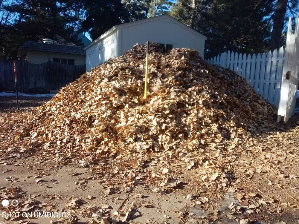 Top-rated outdoor landscaping experts serving Denver, CO - Aycorn Designs