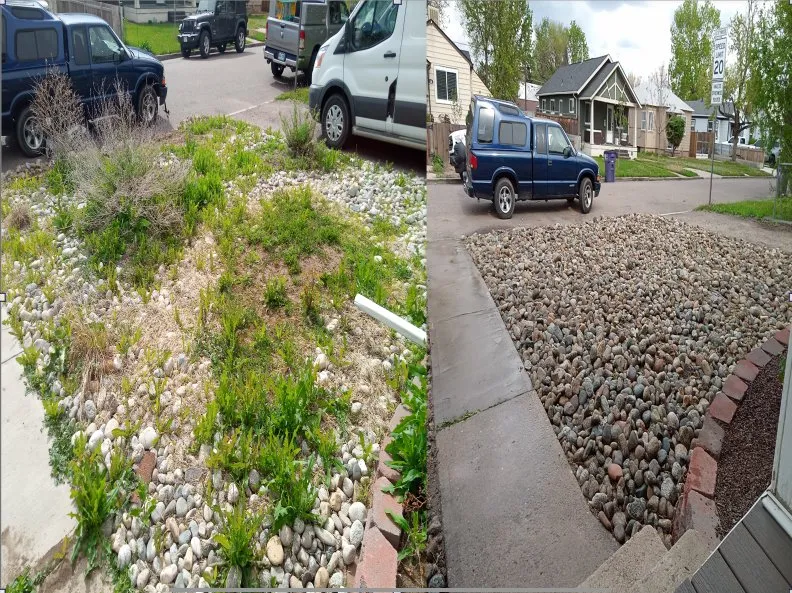 Trusted yard maintenance experts serving Denver, CO - Aycorn Designs