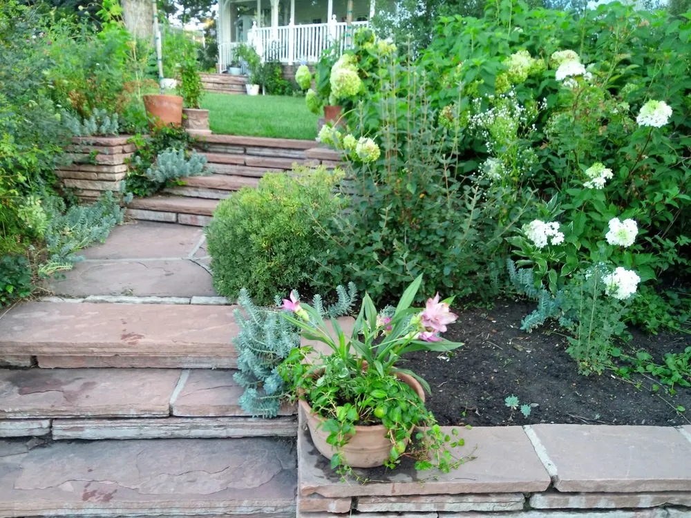 Local landscaping services for homes across Denver, CO - Aycorn Designs