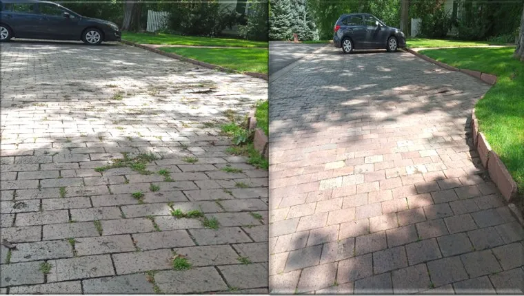 Professional lawn mowing service in Denver, CO by Aycorn Designs