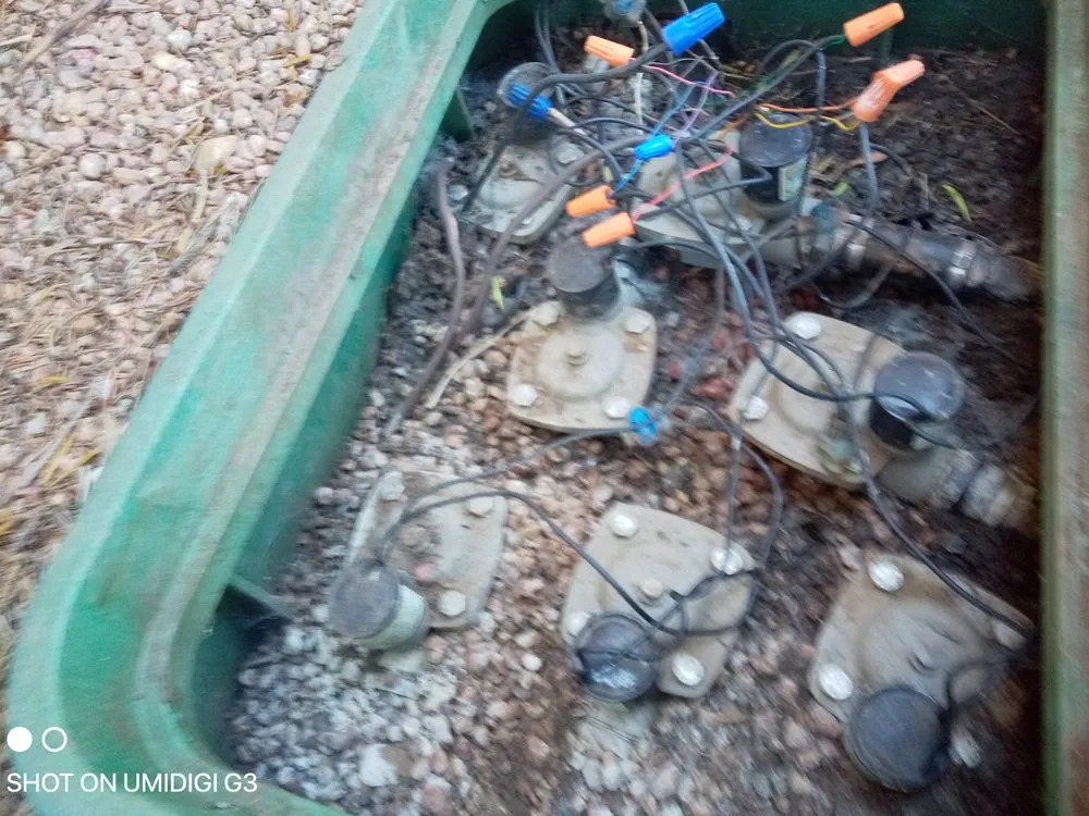 Top-rated residential landscaping for year-round maintenance across Denver, CO - Aycorn Designs