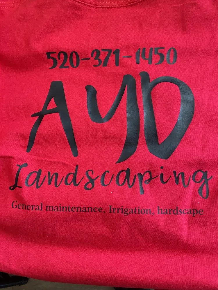 Reliable outdoor landscaping in Eleven Mile, AZ - Ayd Landscaping