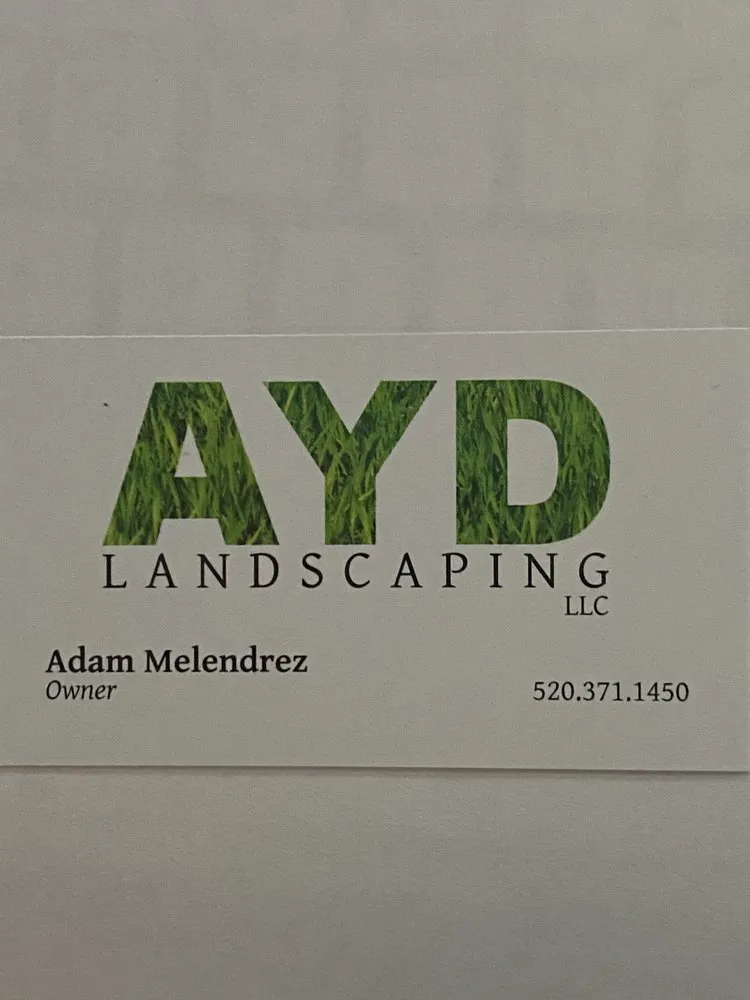 Expert yard cleanup service in Eleven Mile, AZ - Ayd Landscaping