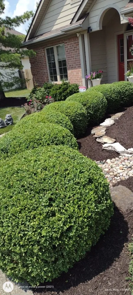 Expert residential landscaping in Fort Wayne, IN by Aydens Lawn Care