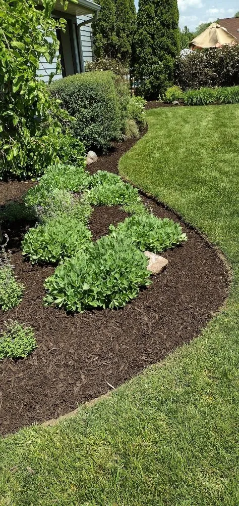 Trusted lawn care service in Fort Wayne, IN by Aydens Lawn Care