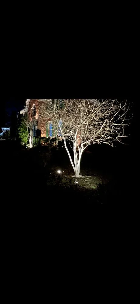Custom landscape design in Moreland, GA - Ayers Outdoor Services