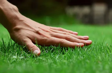 Professional outdoor landscaping for year-round maintenance in Euharlee, GA by Ayers Residential