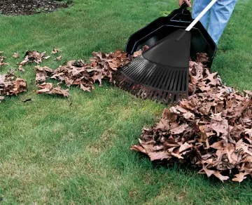 Custom yard maintenance in Euharlee, GA - Ayers Residential