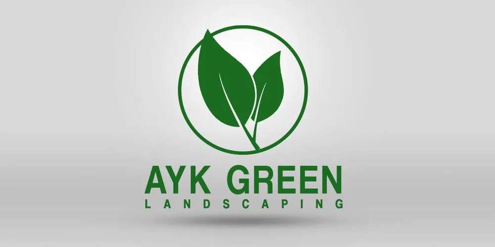 Reliable yard cleanup service in Apache Junction, AZ by Ayk Green Landscaping