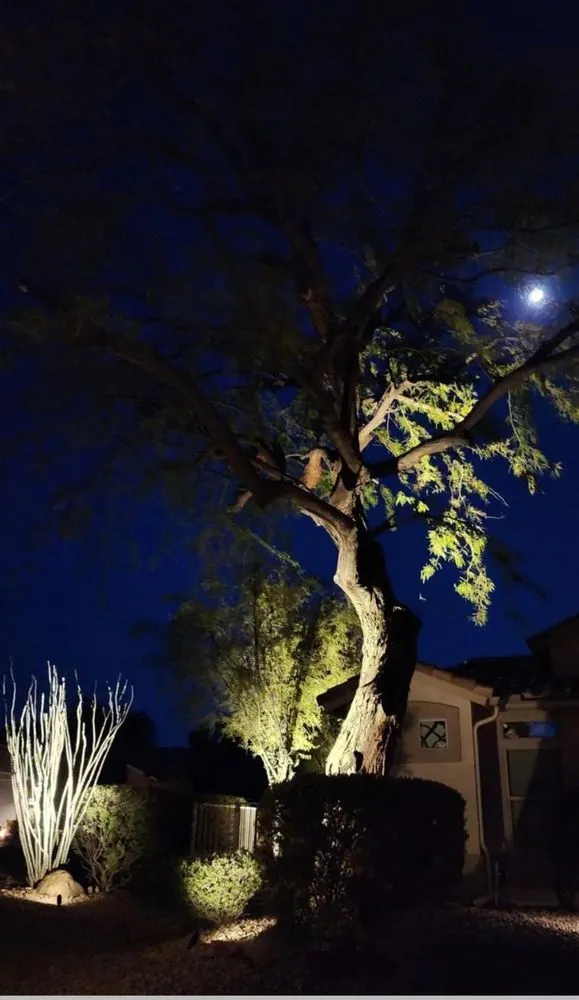 Reliable garden landscaping in Apache Junction, AZ by Ayk Green Landscaping