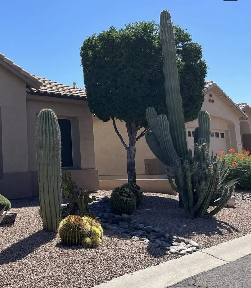 Custom landscape design experts serving Apache Junction, AZ - Ayk Green Landscaping
