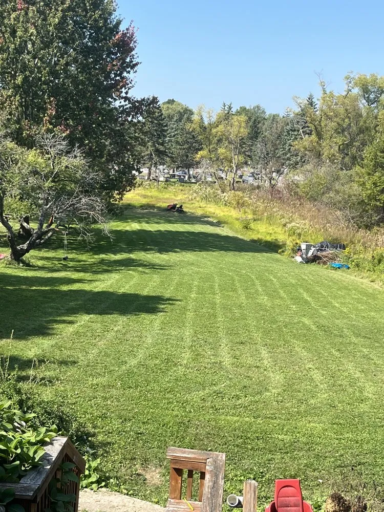 Reliable landscaping services experts serving Lackawanna, NY - Ayl Hedgeline Landscaping