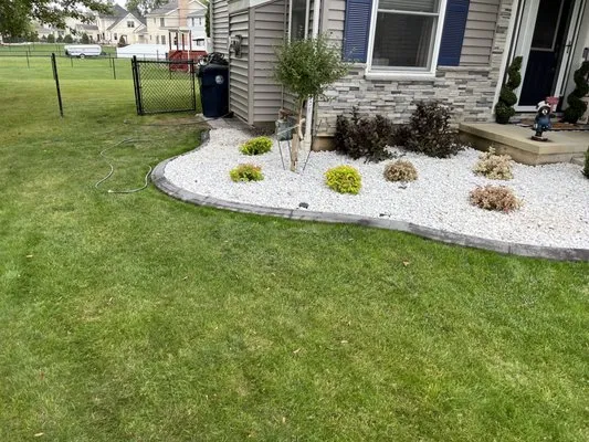 Ayl Hedgeline Landscaping